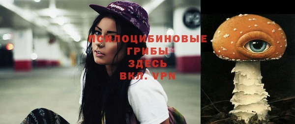 дживик Абинск