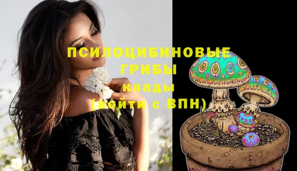 дживик Абинск