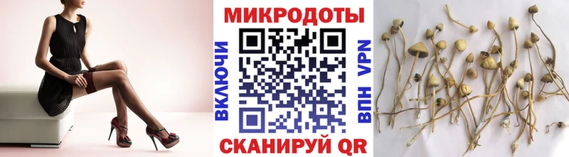 Псилоцибиновые грибы Cubensis  наркота  Сорск 